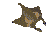 Manta ray