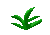 Edible seaweed