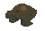 Burnt Sea turtle