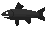 Burnt fish