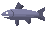 Raw cod