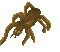 Giant Spider