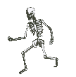 skeleton