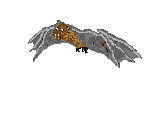 Giant bat