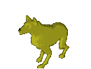 Desert Wolf