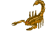 Pit Scorpion