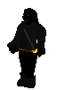 Shadow Warrior